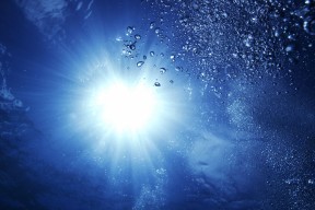 世界拳击超级夜：青年拳手商业化推动赛事生态革新，世界顶级拳击比赛视频