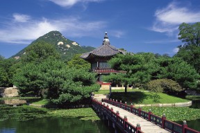 世界帆船赛事志愿者培训证书电子化查询上线，世界帆船锦标赛基地在哪